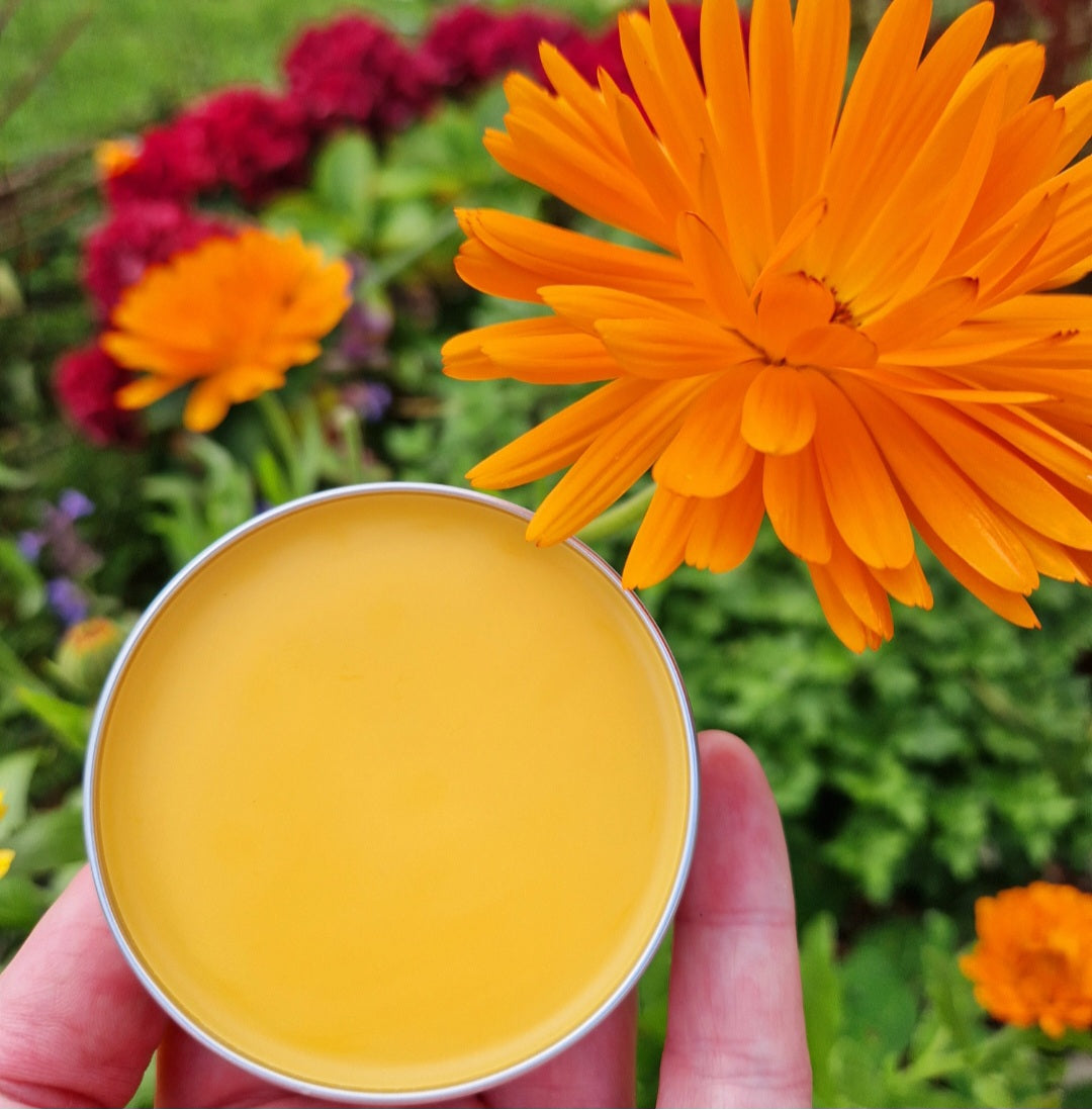 Calendula Balm