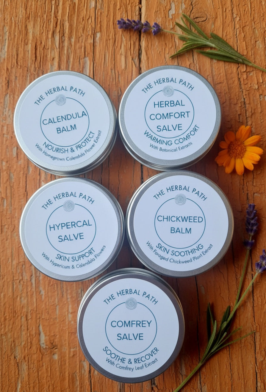 The Whole Herbal Kit