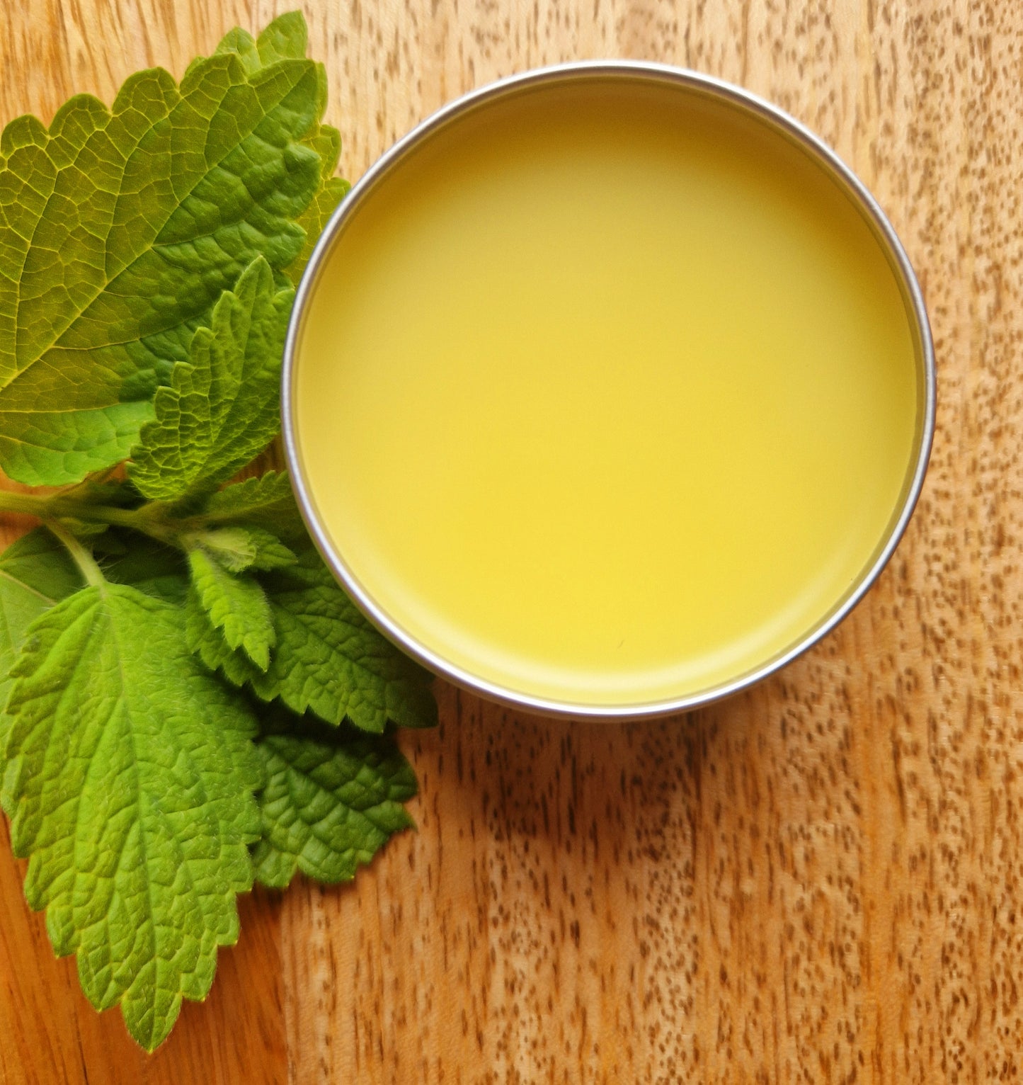 Lemon Balm Antiviral Lip Balm