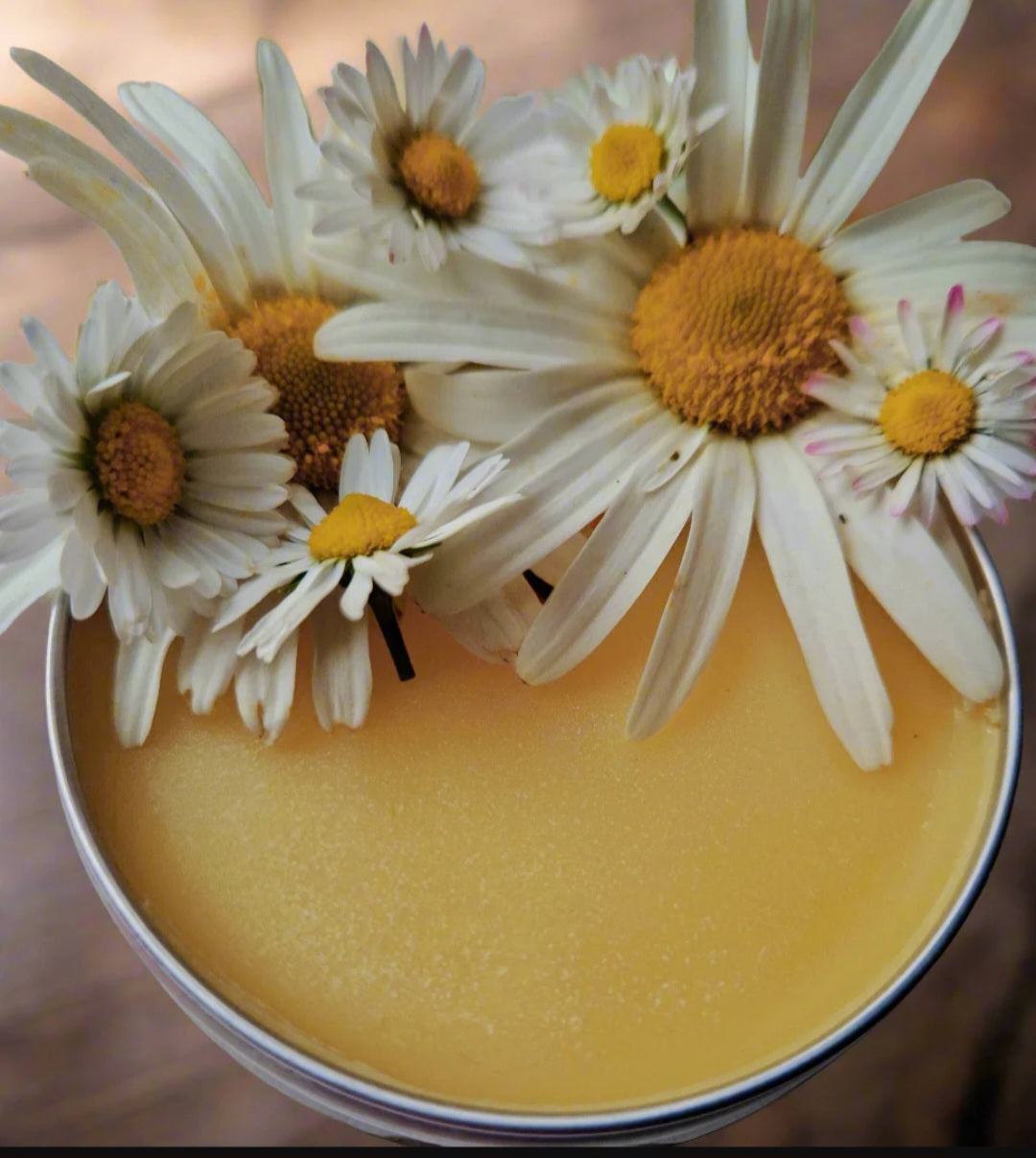 Daisy Bruise Balm