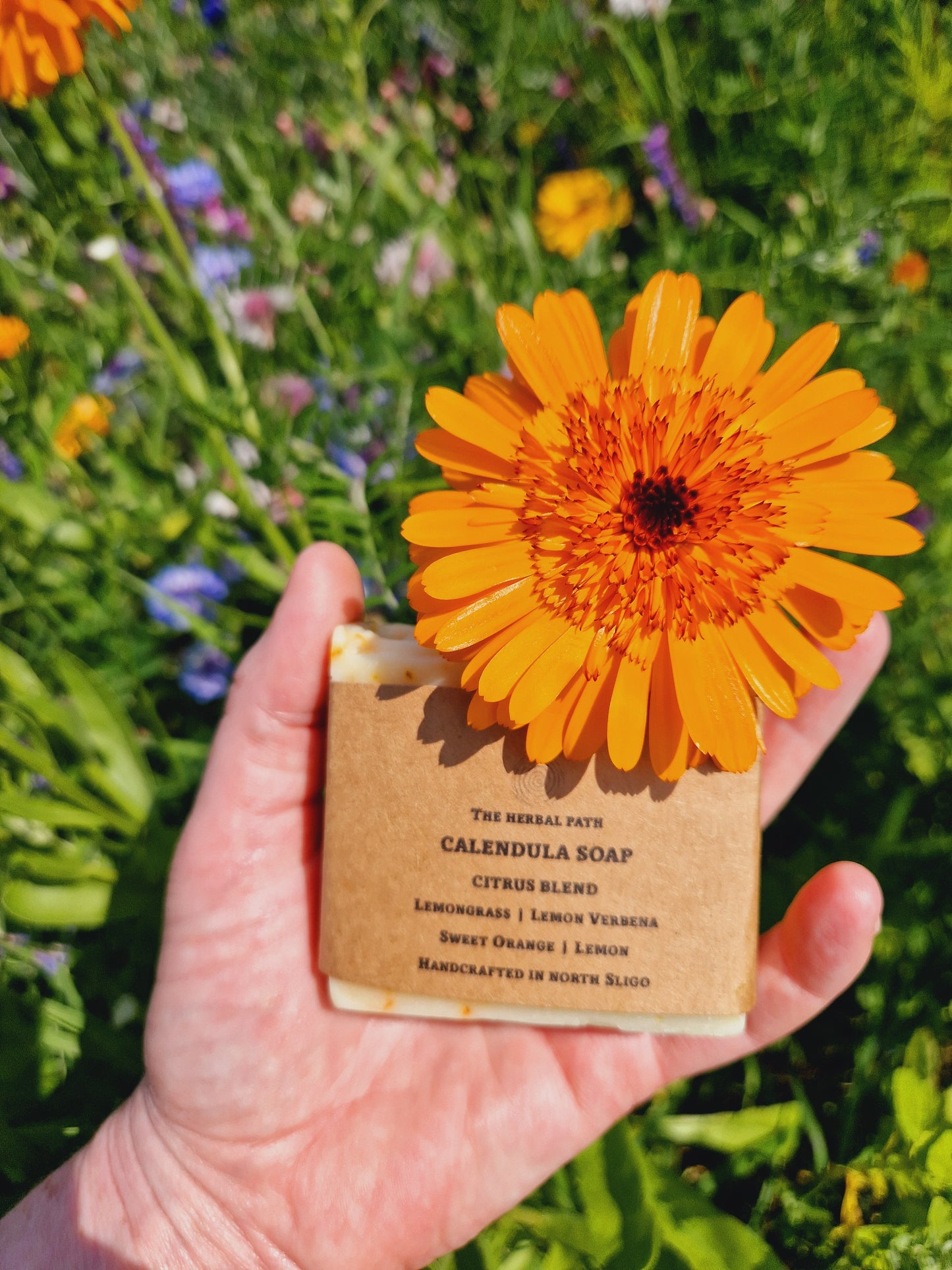 Calendula | Citrus Blend | Natural Soap