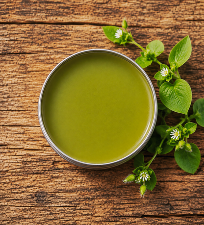Chickweed Balm