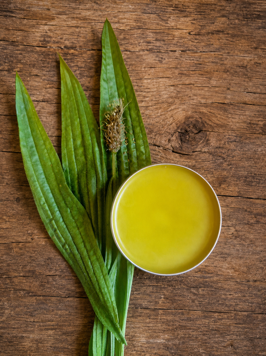 Bite Balm