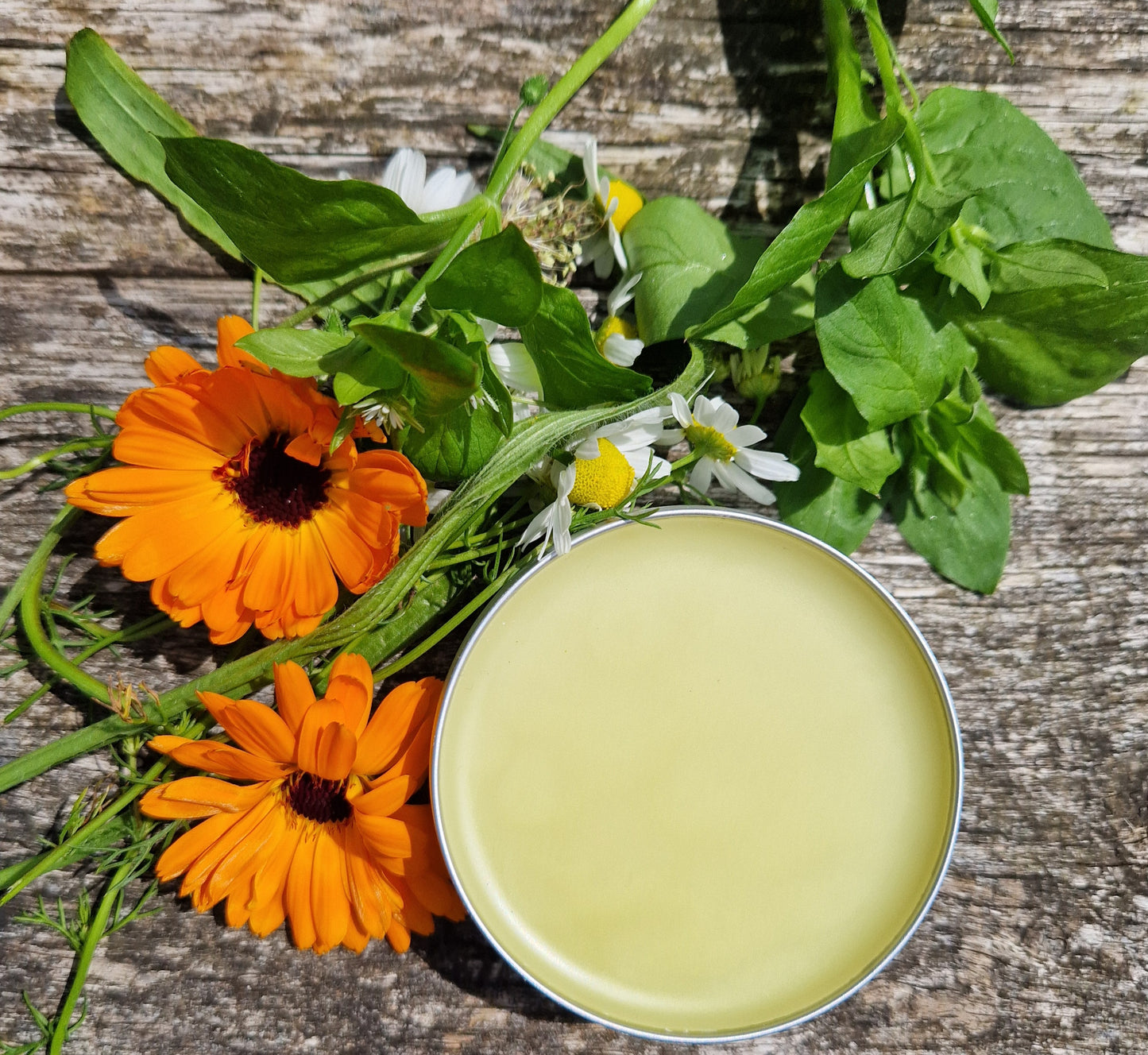 Paw & Nose Balm