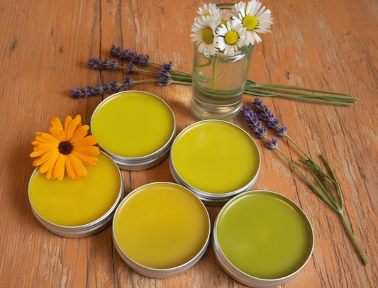 The Whole Herbal Kit