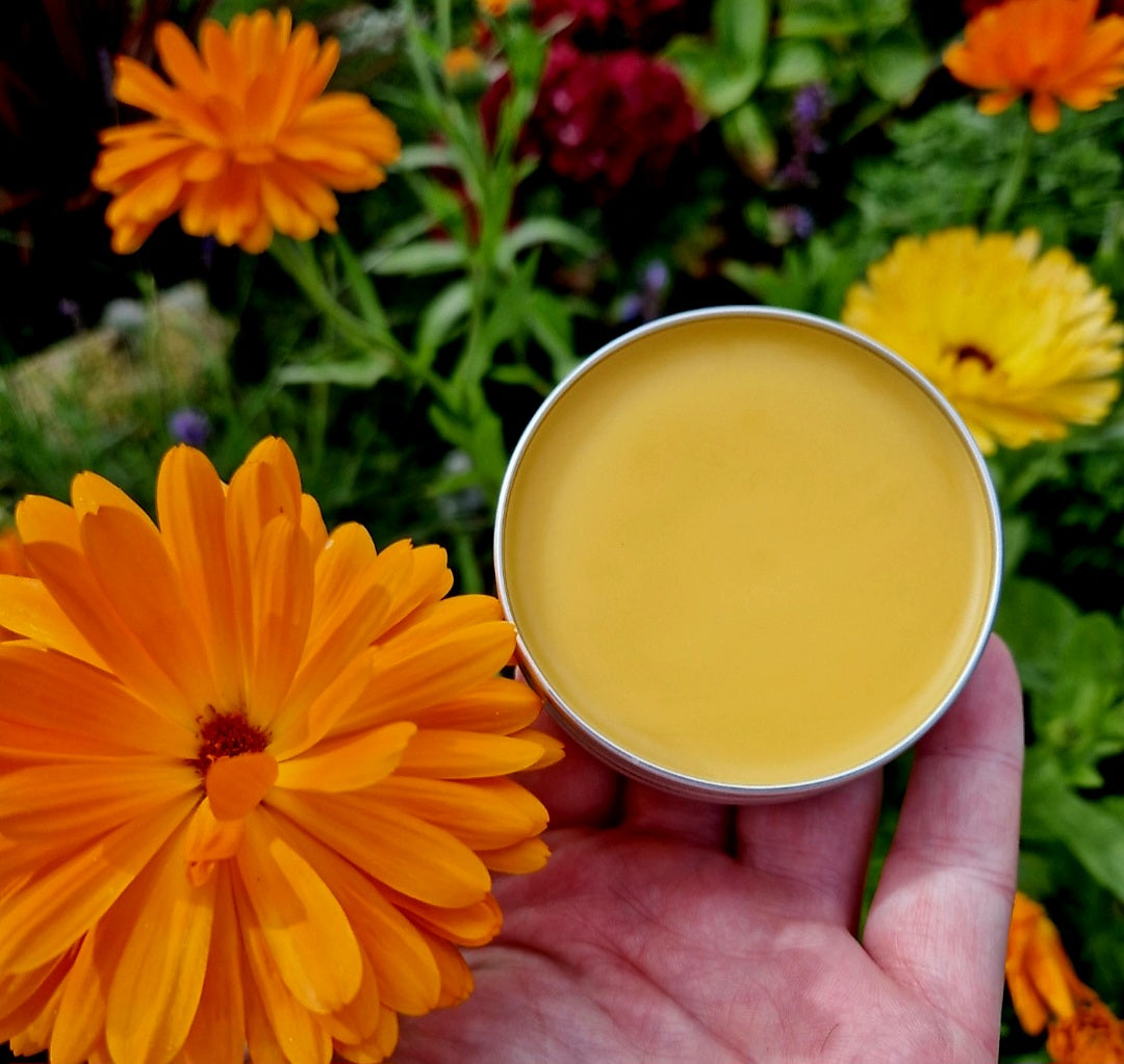 Calendula Balm
