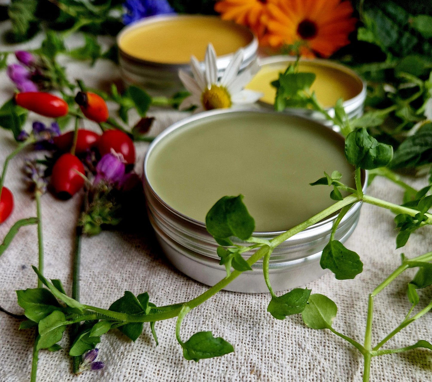 Chickweed Balm