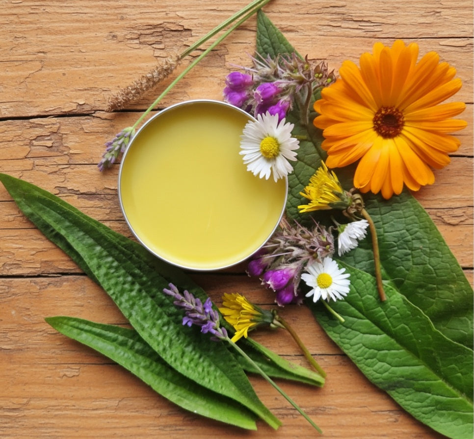 Herbal Pain Salve