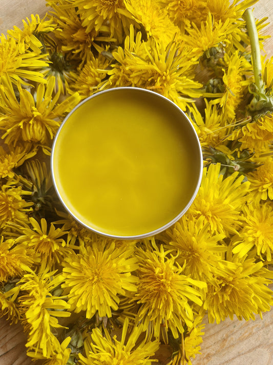 Dandelion Salve