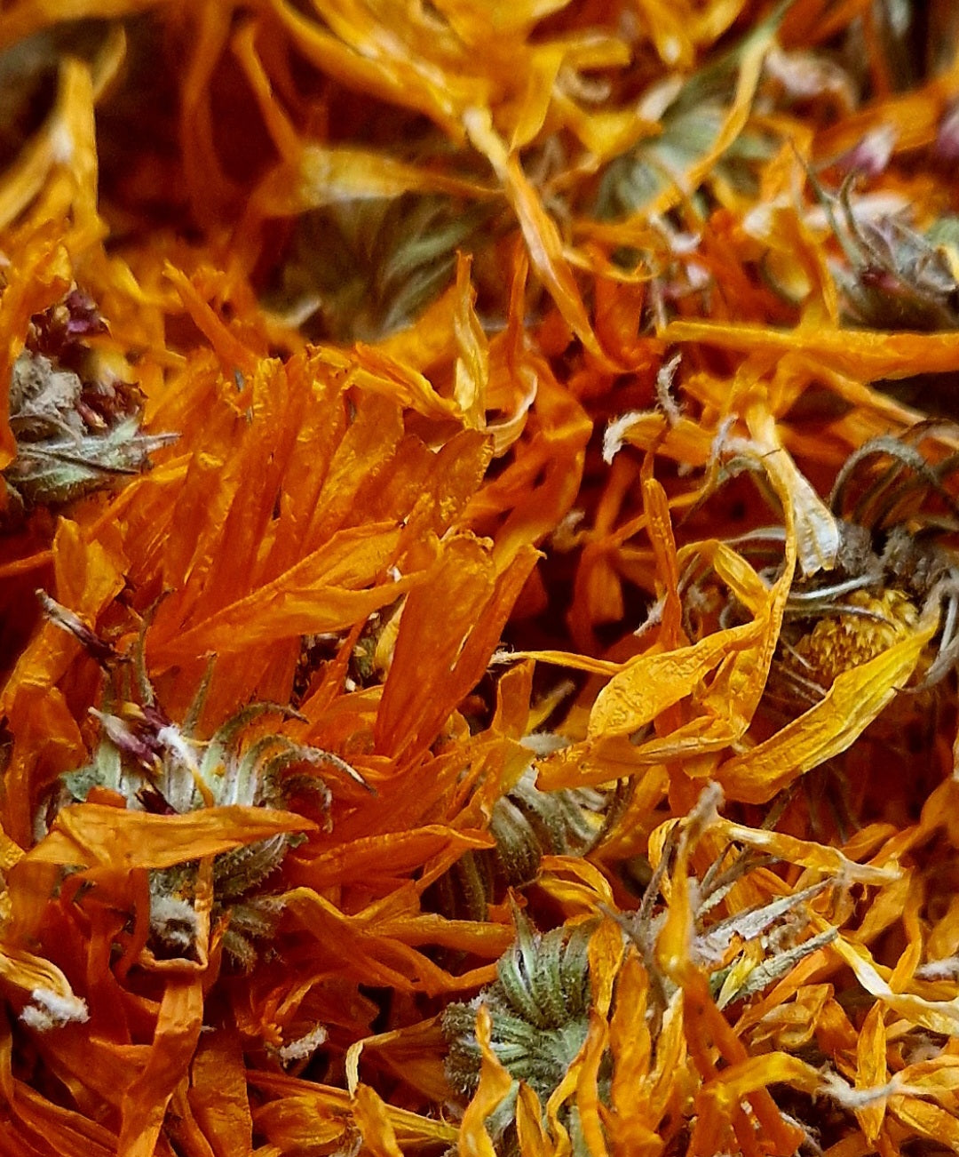 Build your own Apothecary: Dried Botanicals