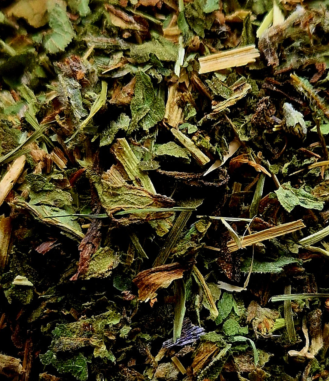 Build your own Apothecary: Dried Botanicals