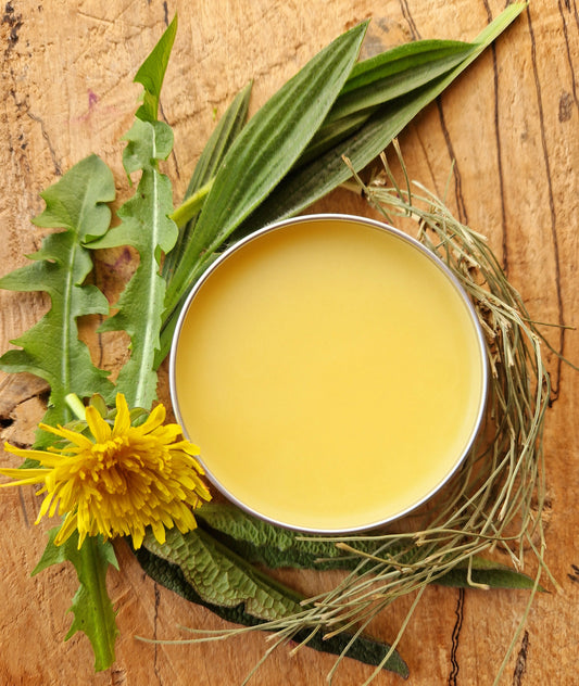 Herbal Pain Salve