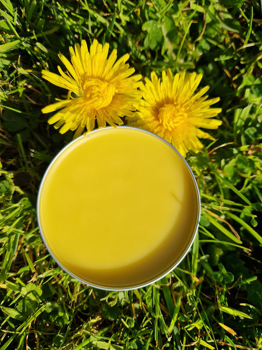 Dandelion Balm
