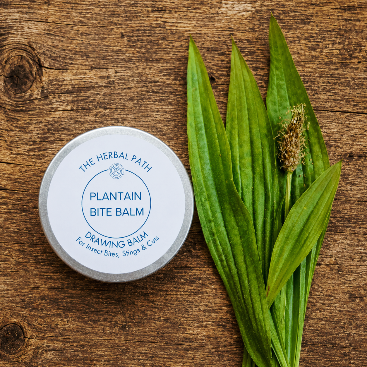 Plantain Bite Balm