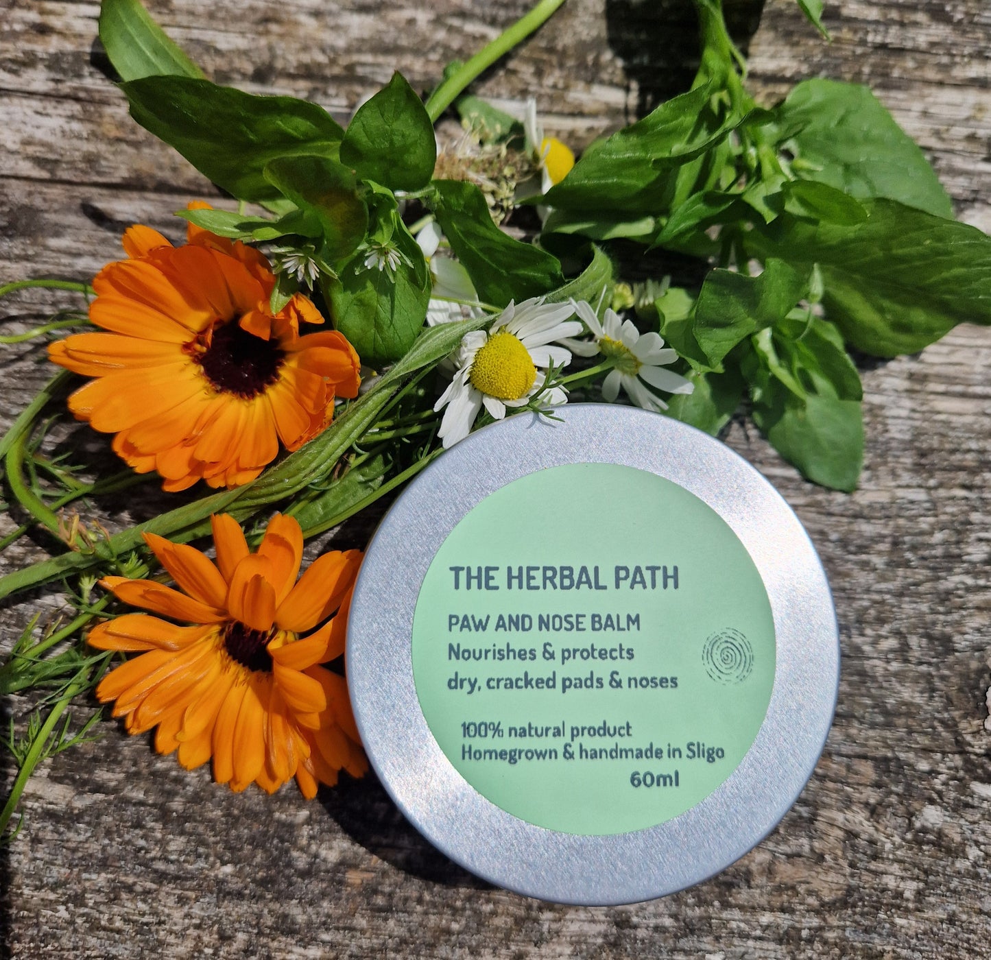 Paw & Nose Balm